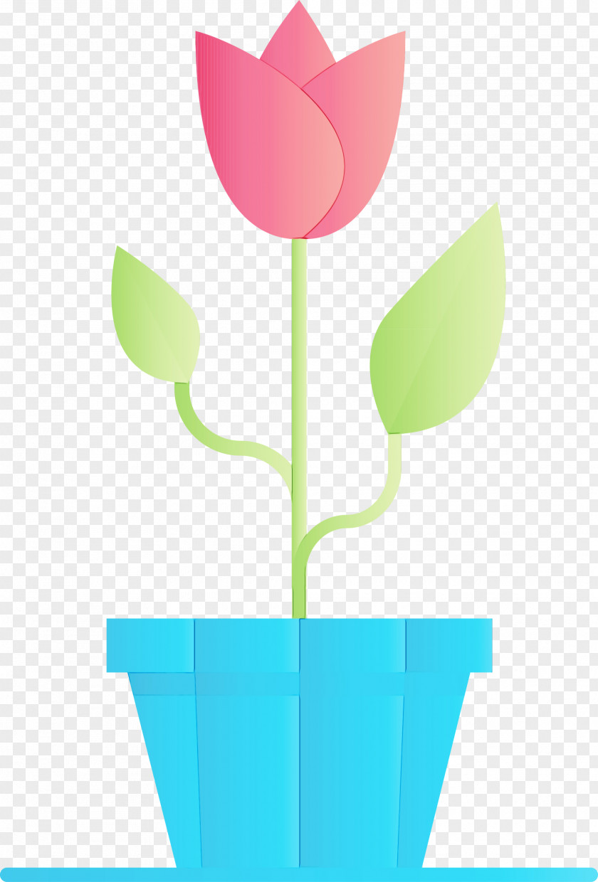 Tulip Flower Plant Stem Flowerpot PNG