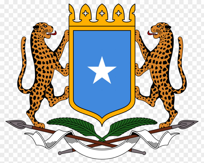 Amnesty Logo Embassy Of Somalia Villa States And Regions Federal Government Somali Community Association Ohio PNG