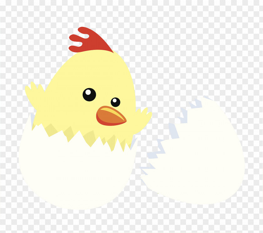 Broken Shell Out Of The Small Meng Chicken Duck Yellow Beak Illustration PNG