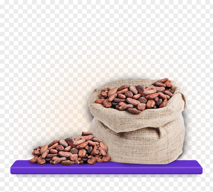 Chocolate Cocoa Bean Cadbury Theobroma Cacao Commodity PNG