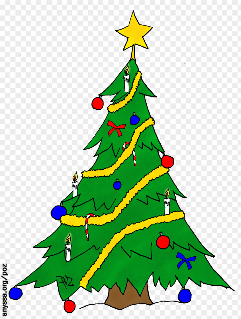 Christmas Tree Day Drawing Fir PNG