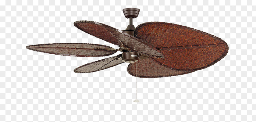 Design Ceiling Fans PNG