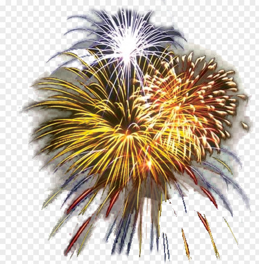 Foguete New Year Fireworks Clip Art PNG