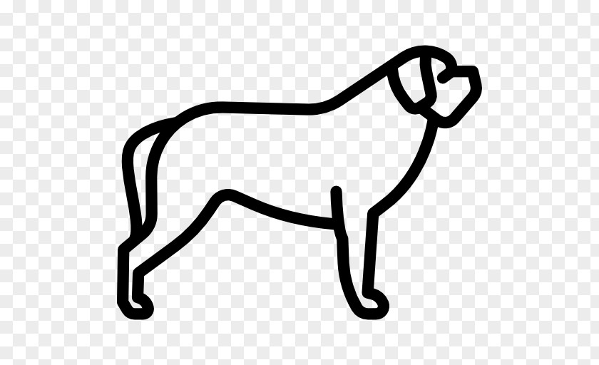 Jack Russel St. Bernard English Mastiff PNG