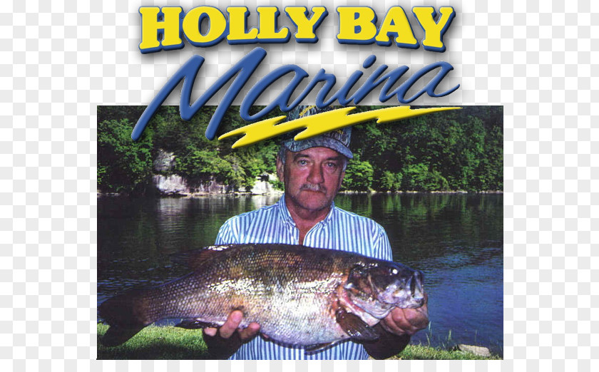 Laurel River Lake Holly Bay Marina Recreational Fishing Bass PNG