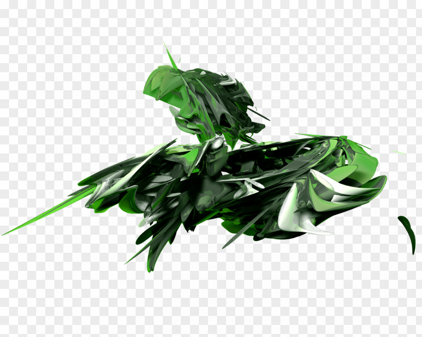 Leaf Vegetable PNG