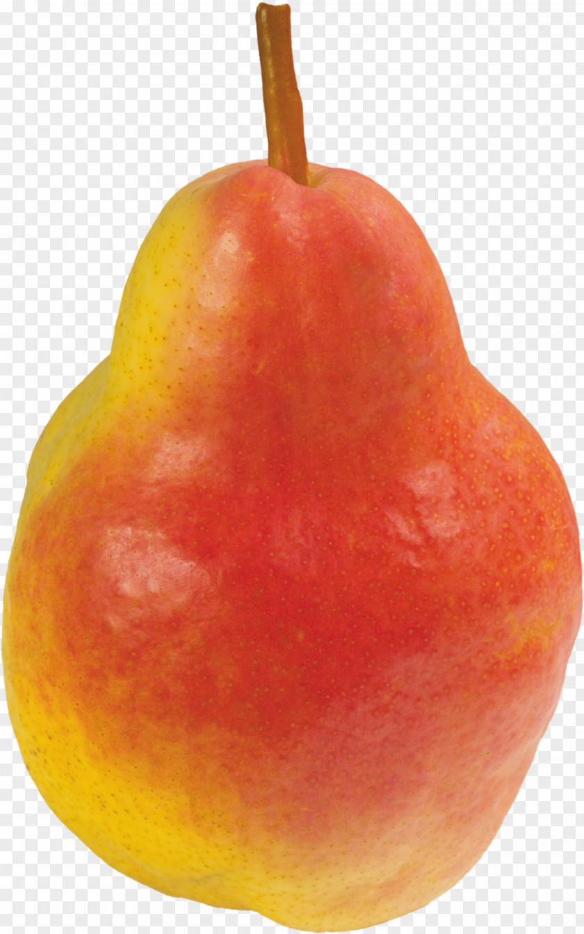 Pear Image Stock Photography PNG