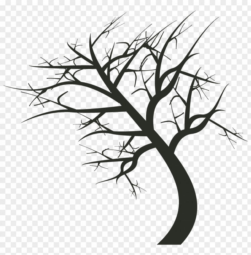 Twig Illustration Vector Design PNG