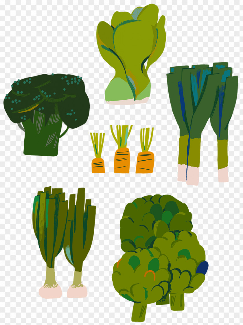 Vegetable Illustration Food Drawing Clip Art PNG