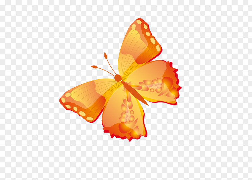 Wz Monarch Butterfly Brush-footed Butterflies Vector Graphics PNG