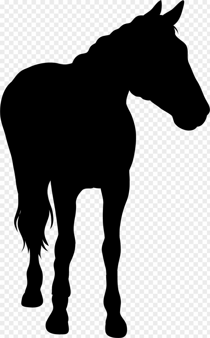 A Horse Silhouette PNG