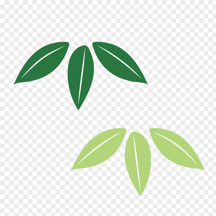 Leaf Plant Stem Font Tree PNG
