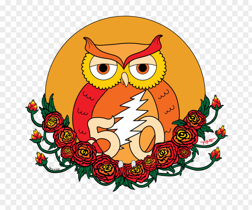 Owl Grateful Dead T-shirt Steal Your Face The PNG