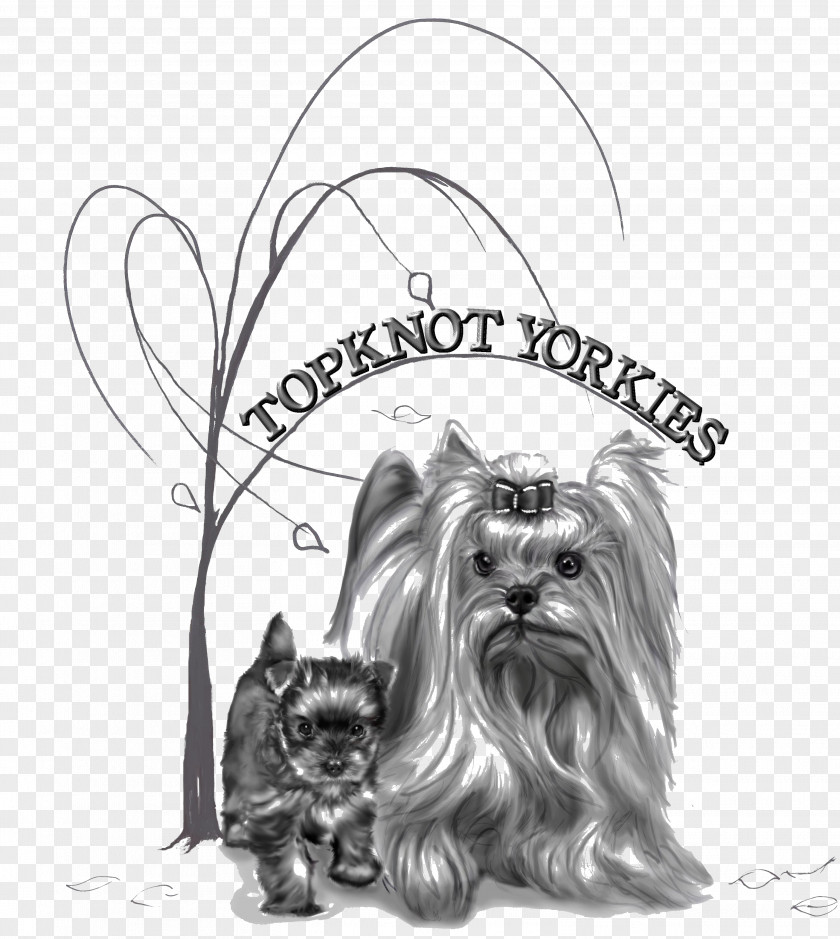 Yorkshire Terrier Skye Dog Breed Toy PNG