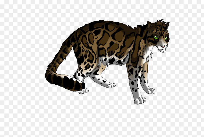 Clouded Leopard Whiskers Ocelot Tiger Cat PNG