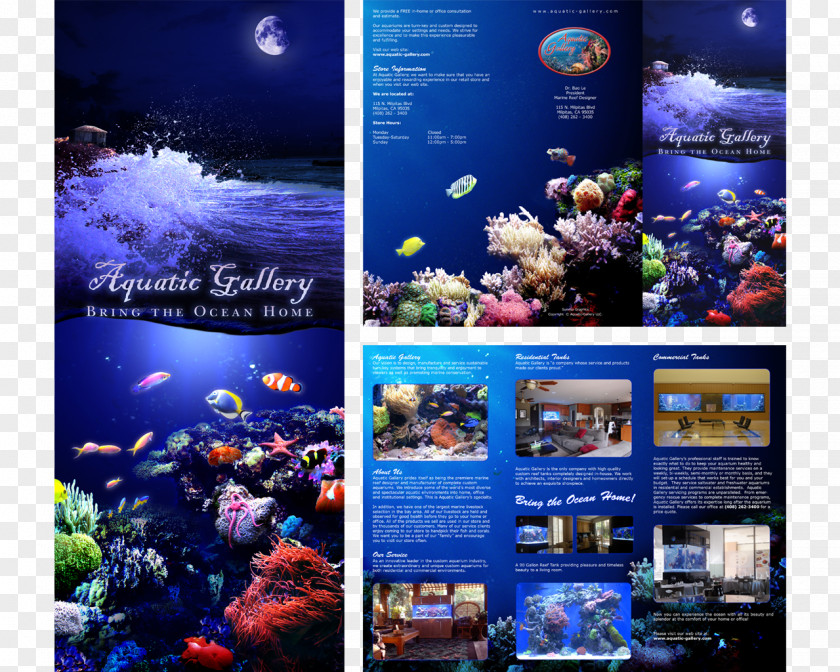 Design Aquarium Lighting Brochure Advertising PNG