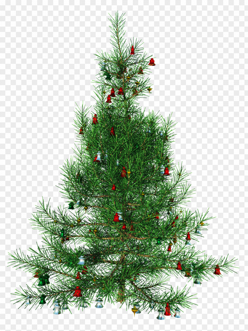 Format Images Of Christmas Tree Clip Art PNG