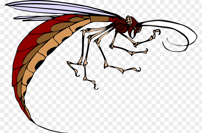 Insect Mosquito Clip Art PNG