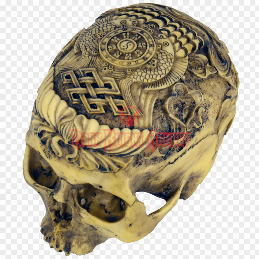 Skull Viking Human Skeleton Anatomy PNG