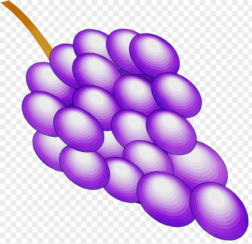 Vegetarian Food Seedless Fruit Grape Grapevine Family Violet Purple PNG