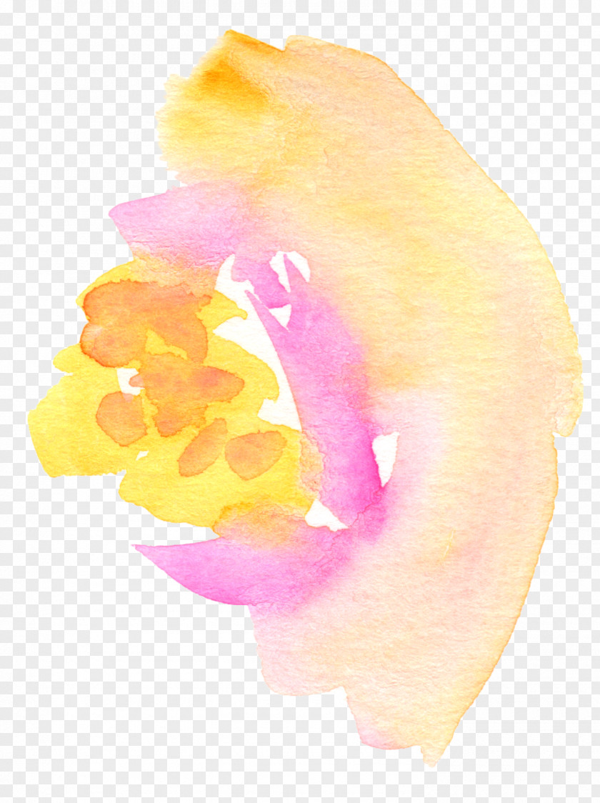 Watercolor Flower Painting Clip Art PNG