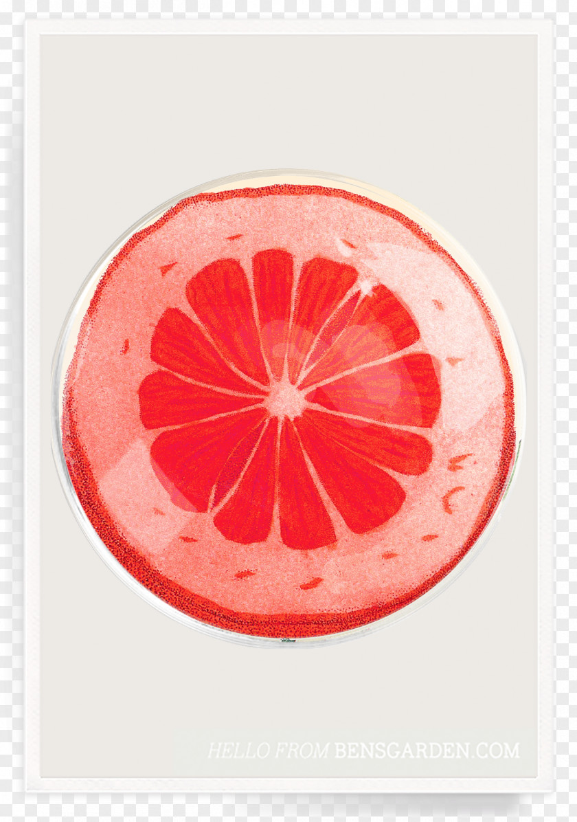 Blood Orange Ben's Garden Glass Decoupage Grapefruit Tray PNG