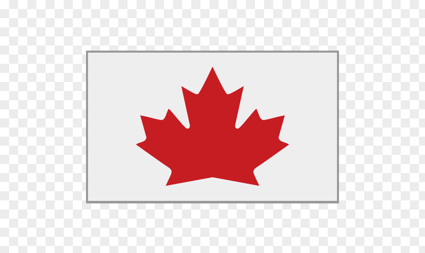 Canada Maple Leaf 150th Anniversary Of Flag PNG