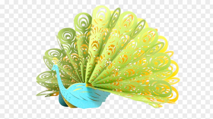 Feather Green Pavo Greeting & Note Cards PNG