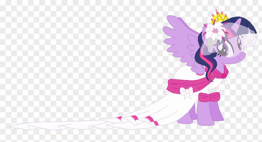 My Little Pony Twilight Sparkle Rarity Sunset Shimmer Rainbow Dash Princess Cadance PNG