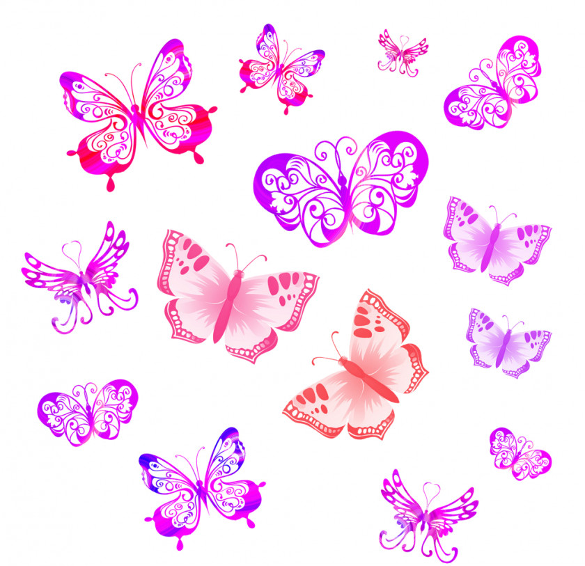 Papillon Clip Art Product Pink M Pattern Line PNG