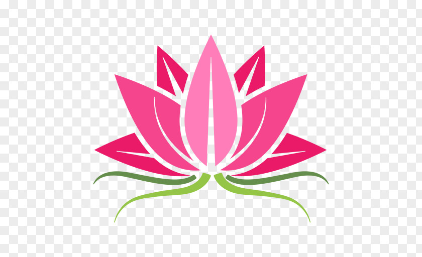 Sacred Lotus Floral Design PNG