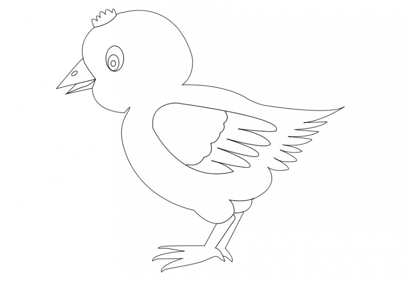 Coloring Cliparts Duck Chicken Black And White Clip Art PNG