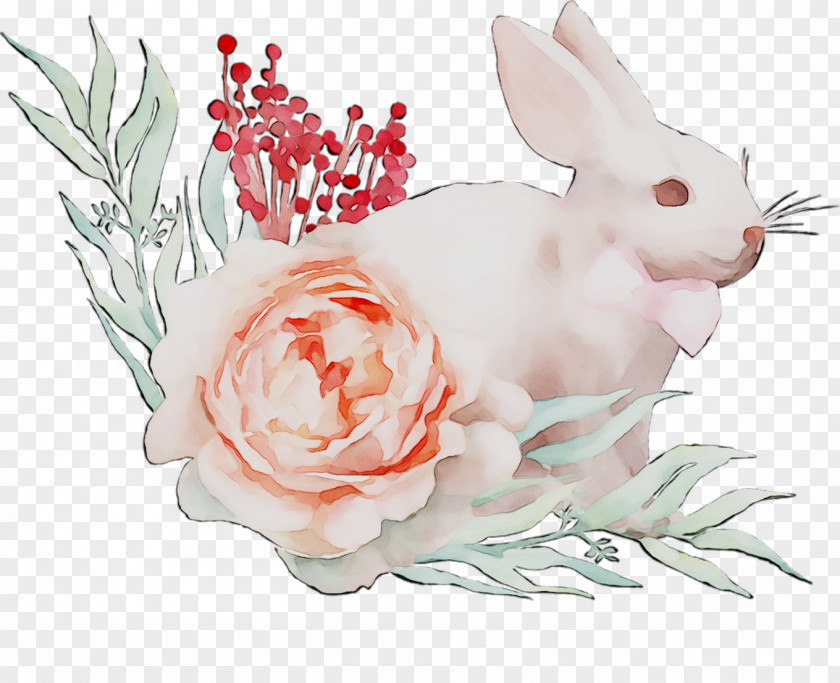 Domestic Rabbit Hare Illustration Floral Design Rose Family PNG