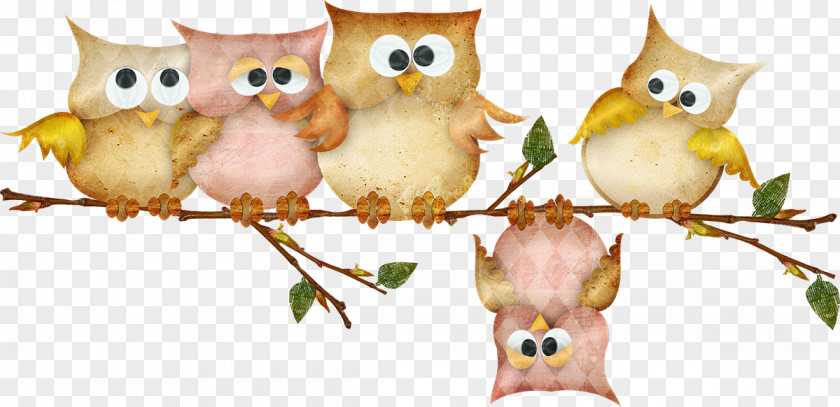 Little Owl Bird PNG