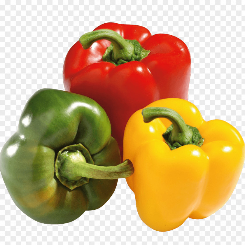 Paprika Bell Pepper Mexican Cuisine Serrano Food Chili PNG
