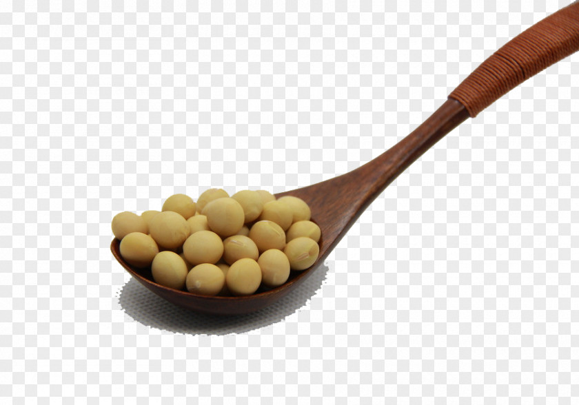 A Spoon Soy Soybean Protein Ingredient Eating PNG