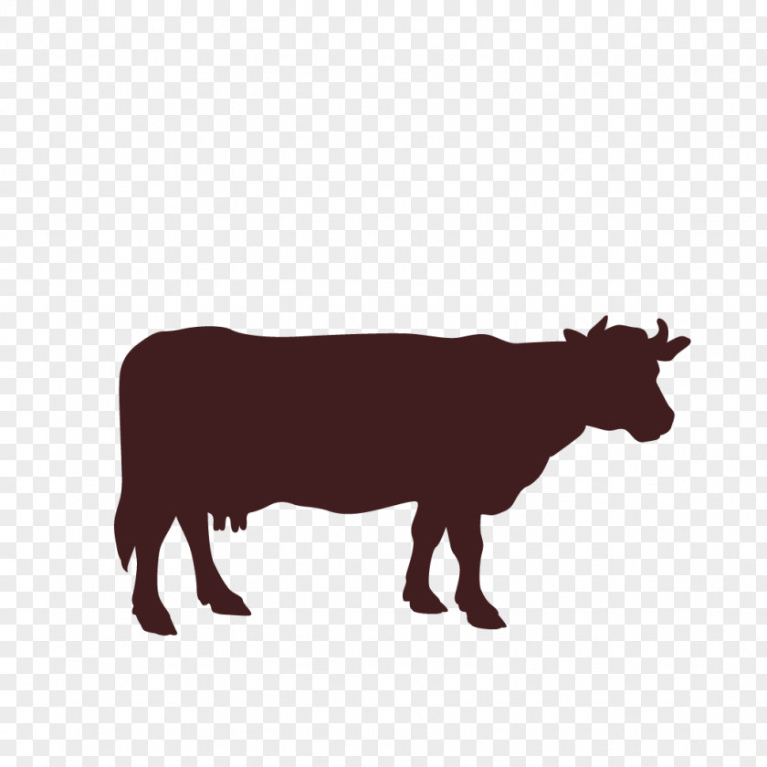 American Spirit Cartoon Cattle Steak Beef Calf Dairy PNG
