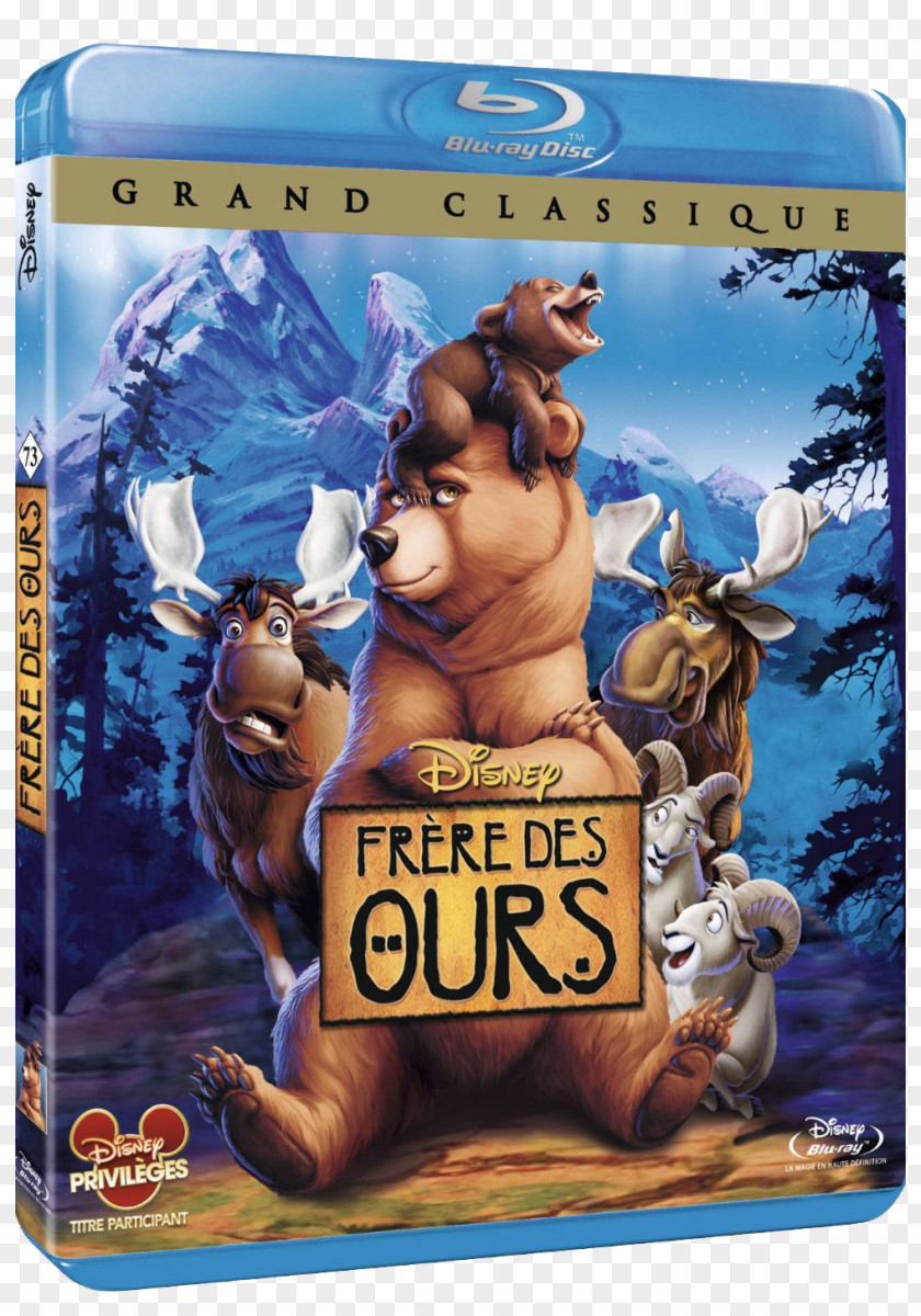 Dvd Blu-ray Disc DVD Brother Bear Film Animation PNG