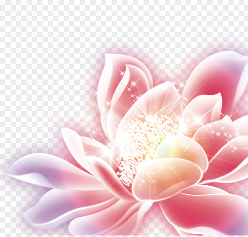 Flower Snow Skin Mooncake Mid-Autumn Festival Poster PNG