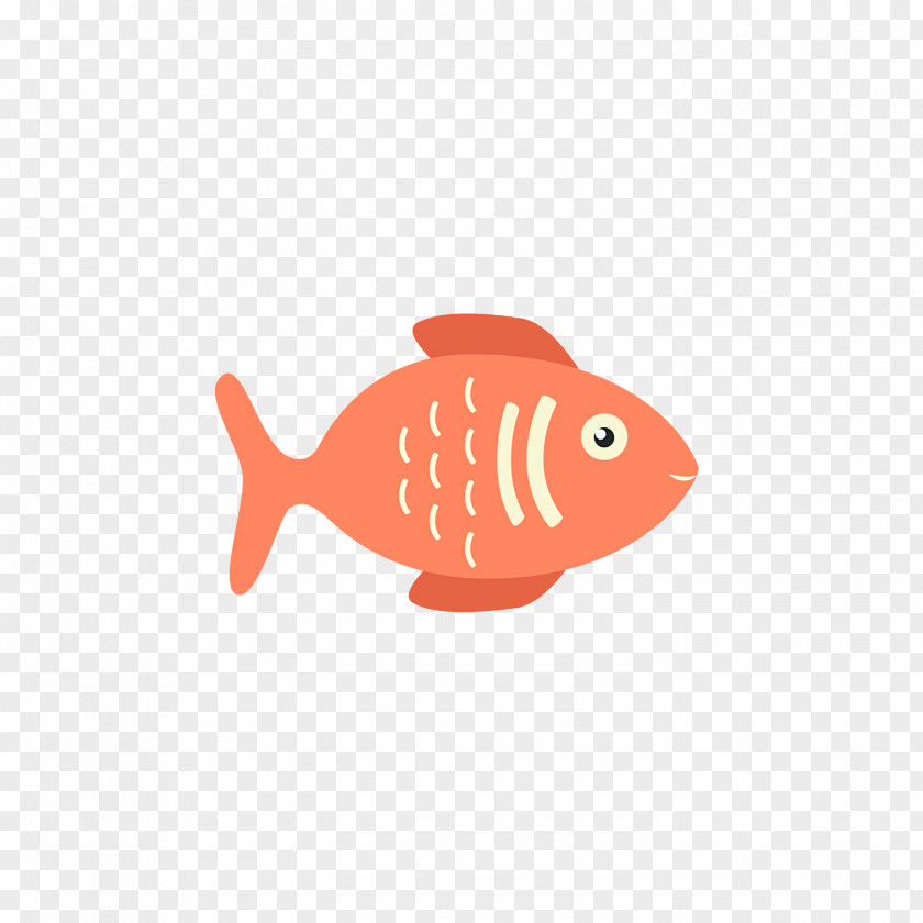 Font Fish Biology Science PNG