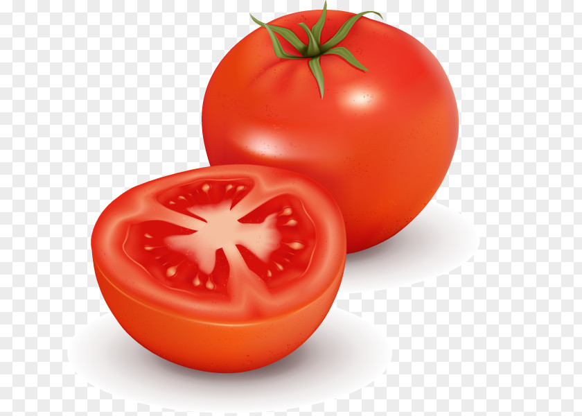Vector Tomato Juice Vegetable Clip Art PNG