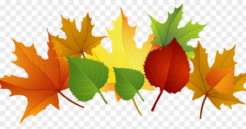 Autumn Clip Art Openclipart Leaf Color Image PNG