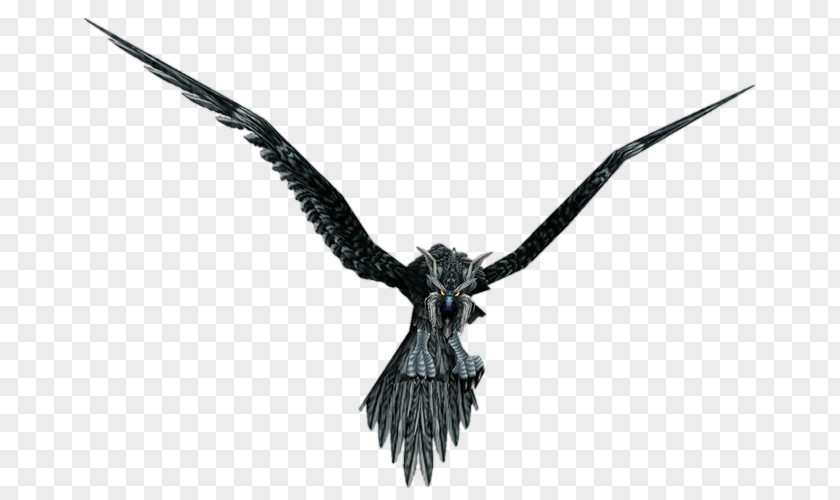 Bird Crow Common Raven World Of Warcraft Wowpedia PNG