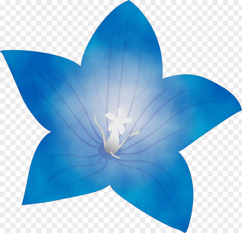 Electric Blue M Turquoise Cobalt Petal Flower PNG