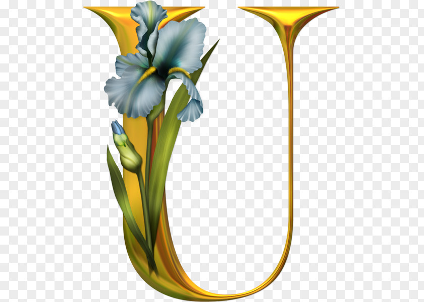 Floral Alphabet Letter English PNG