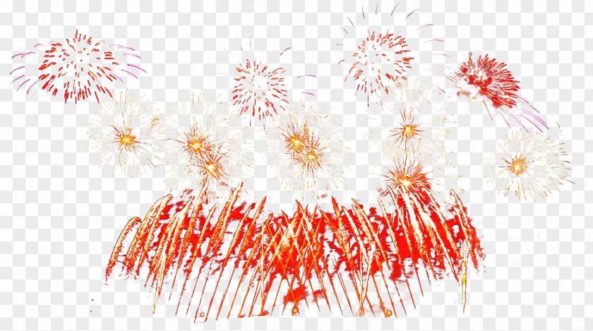 Holiday Recreation Fireworks Red Event PNG