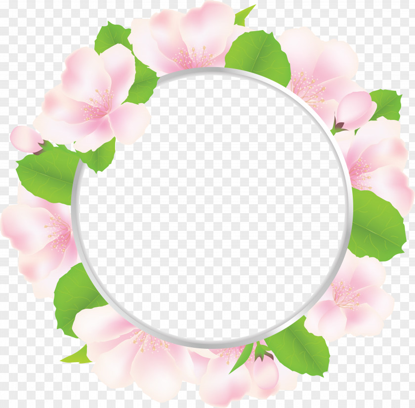 Oval Frame Petal Floral Design Rosaceae Picture Frames Rose PNG
