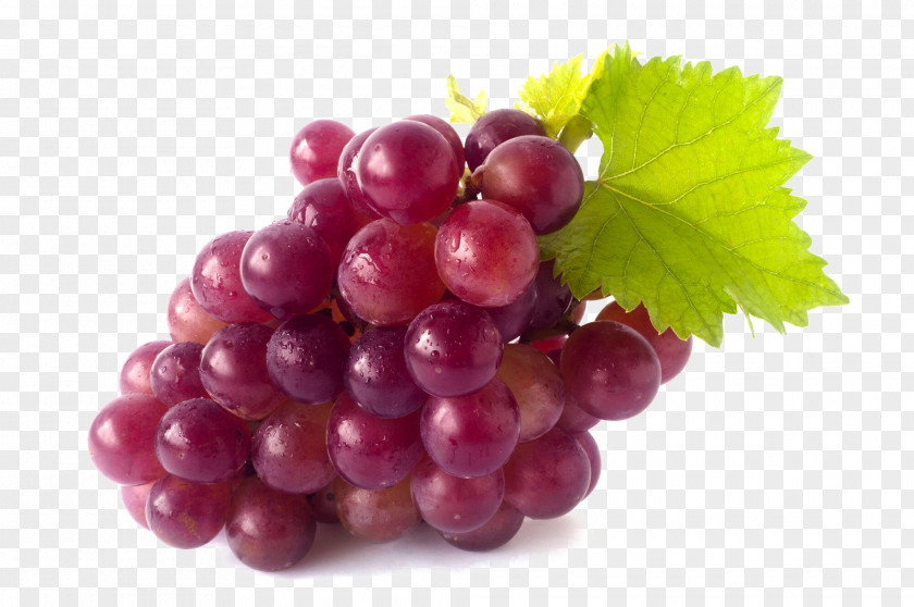 Red Beans Common Grape Vine Juice Wine Globe PNG