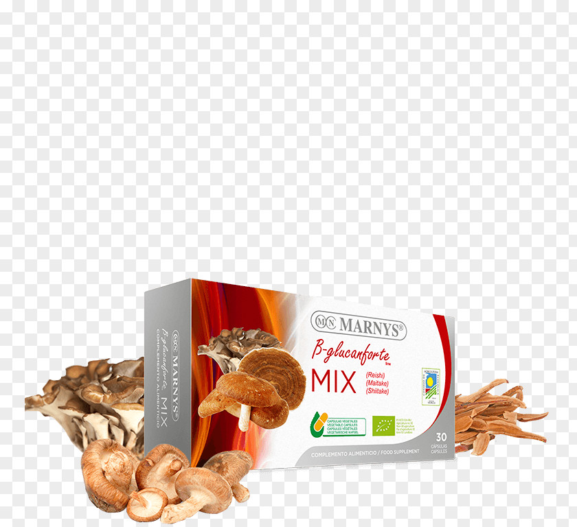 Reishi Mushroom Farming Hen-of-the-wood Lingzhi Marny's B-Glucanforte Mix Mushrooms Bio 30 Capsules Shiitake PNG