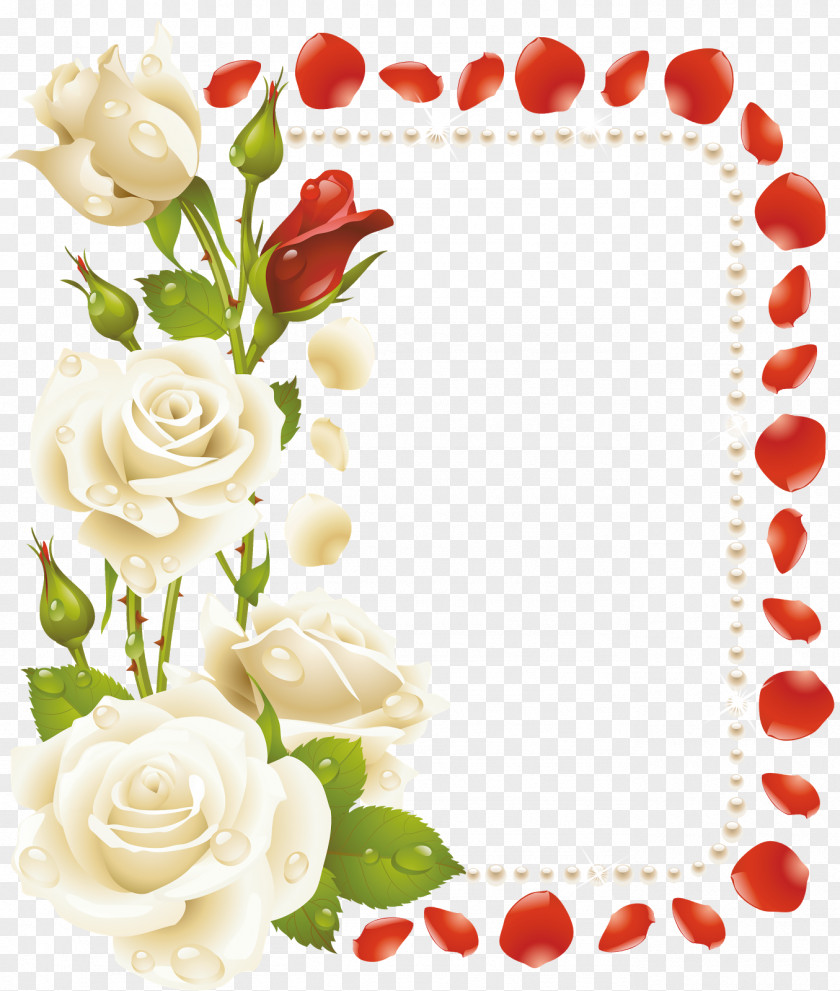 Rose Garden Roses Picture Frames Floral Design Flower PNG